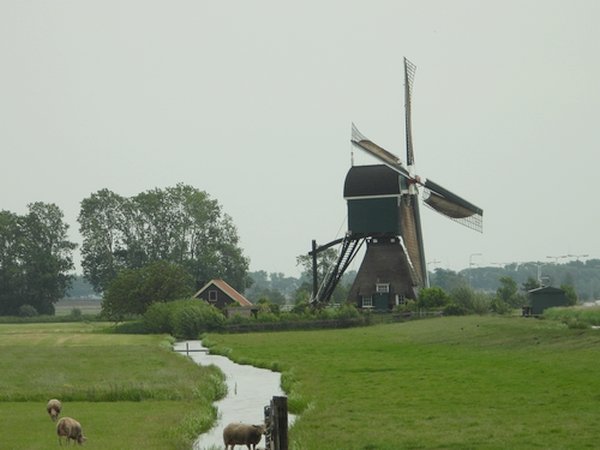 boterslootsemolennoordeloos22052020 1